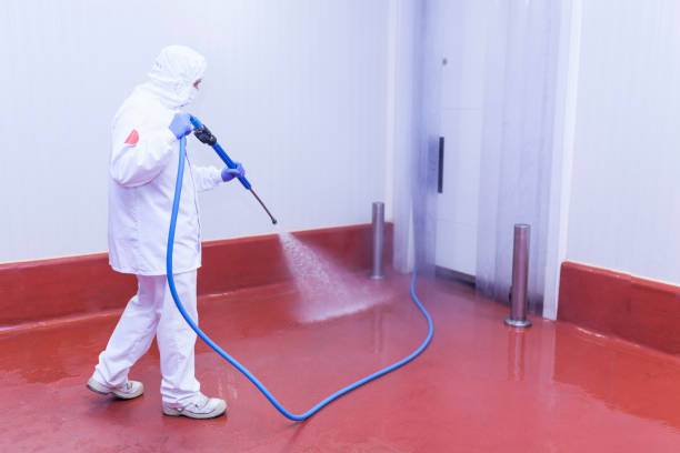 Best Oil Spill Cleanup  in Slocom, AL